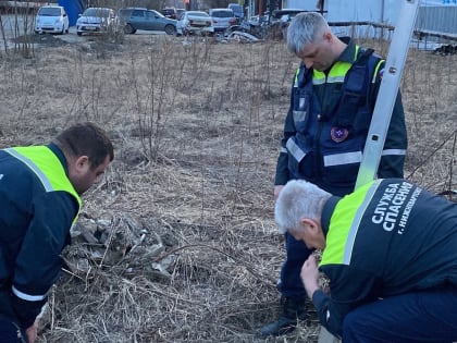 В Нижневартовске спасатели вытащили собаку из колодца