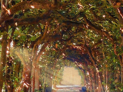 Власти Нижневартовска уберут «аллею пепельниц» после жалоб горожан