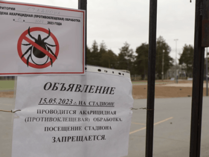 В поселениях Сургутского района начали травить клещей и крыс