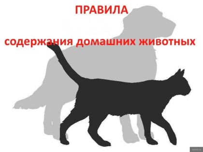 1000 рублей от ветеринарной службы округа. Как получить?