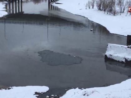 В Сургуте на Сайме вновь обнаружено большое масляное пятно