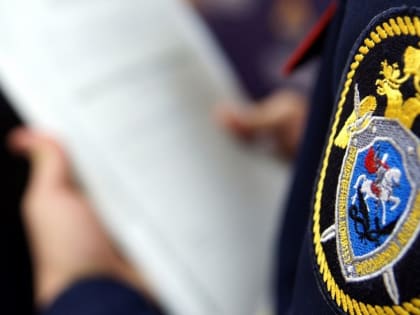 Бастрыкин взял на контроль дело с избитым и брошенным умирать на морозе подростком из ХМАО