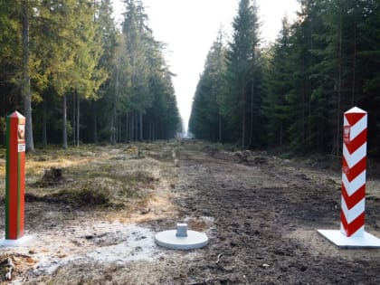 Между ЕС и Белоруссией построят 5-метровый железный забор