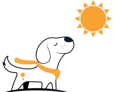 В Югре стартовала зоозащитная акция «Веснушка»