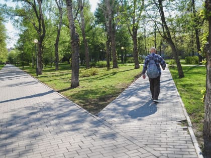 «Новодел позорный!». Жители Ханты-Мансийска возмутились разбитой «Тропой здоровья»