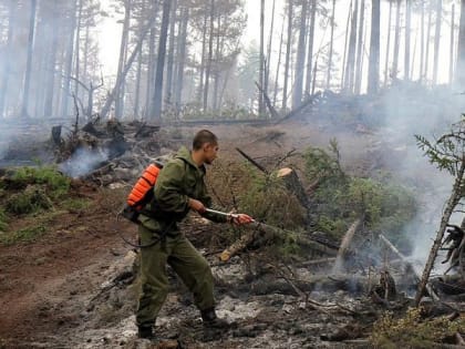 Опасности для населенных пунктов нет — о ситуации с лесными пожарами в Югре