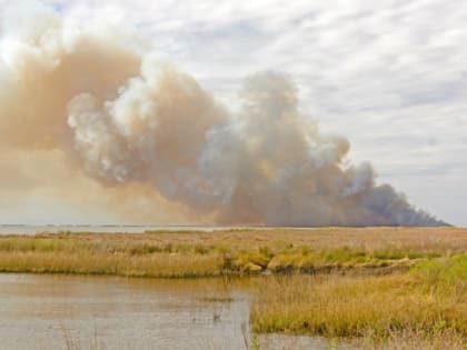 В одном из заповедников Югры не могут ликвидировать лесной пожар