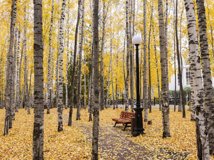 Готовность Ханты-Мансийска к зимнему отопительному сезону 2024/2025