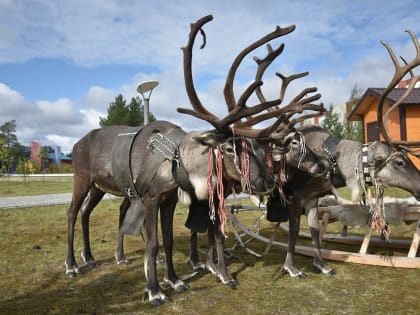 В Югре турпоток превысил допандемийные показатели