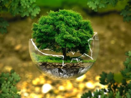 Власти Югры выделяют еще 117 млн рублей на экологию