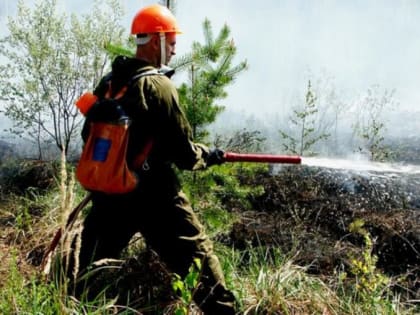 В югорском заповеднике продолжается борьба с пожаром