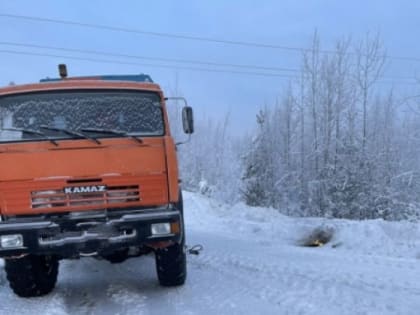 Госавтоиспекторы Югры помогли замерзающему на трассе водителю