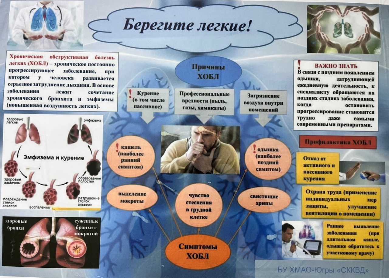 Помощь при поражении органов дыхания. Профилактика ХОБЛ памятка для пациента. Профилактика ХОБЛ буклет. Памятка пациенту с хроническим бронхитом. Профилактика легочных заболеваний памятка.