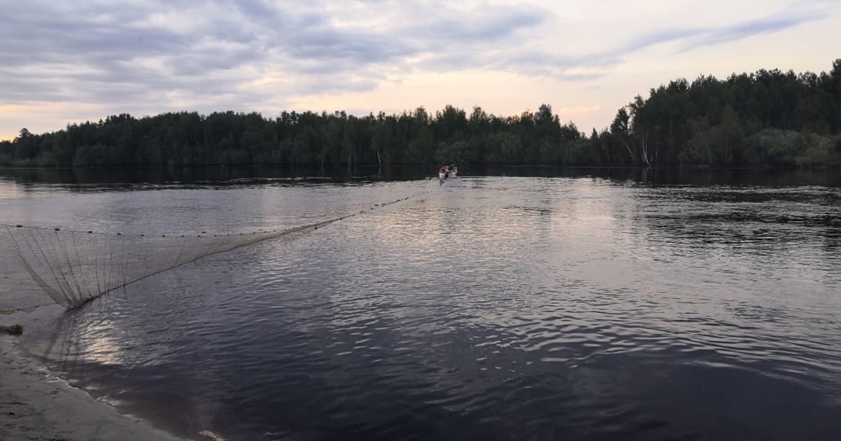 Конда. Река Конда Урай. Купание в реке. Река Конда ХМАО. Ушья река Конда.