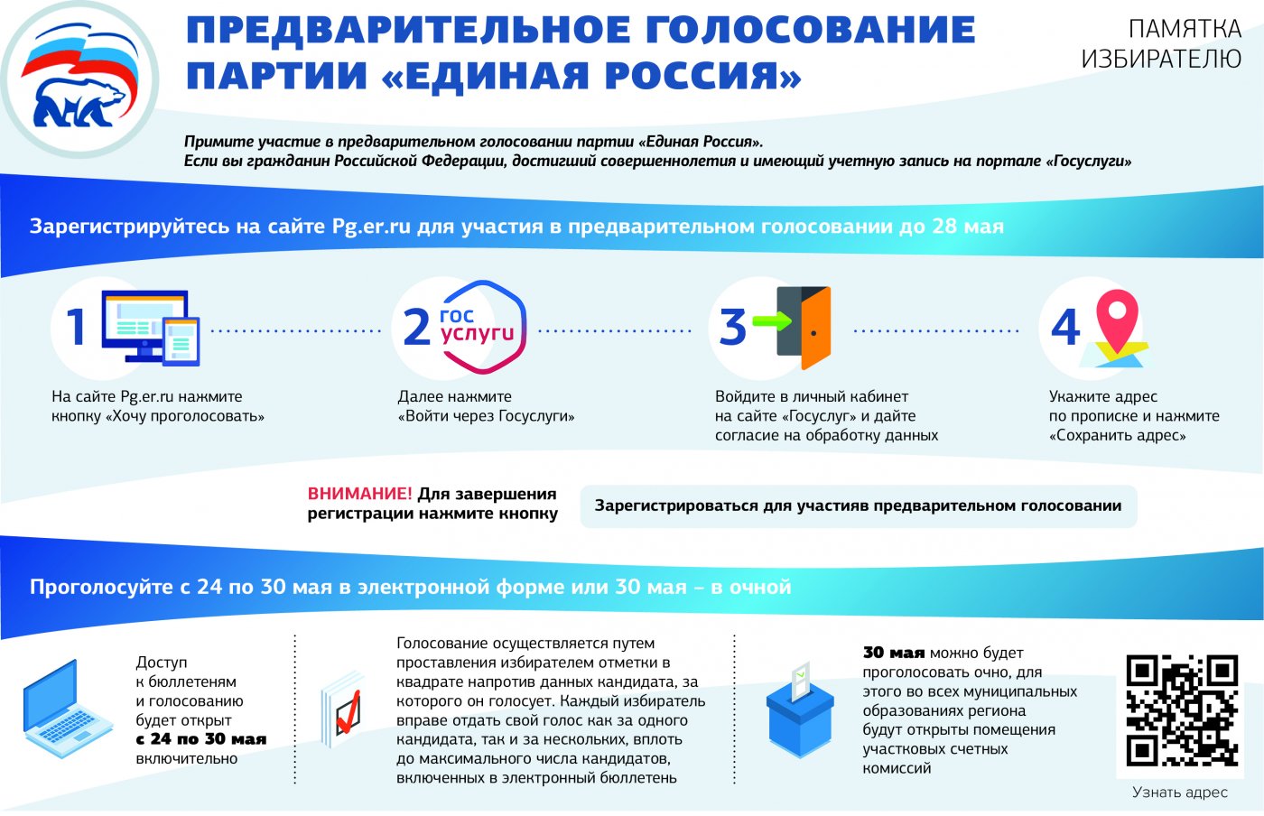 Предварительное голосование единая россия картинка