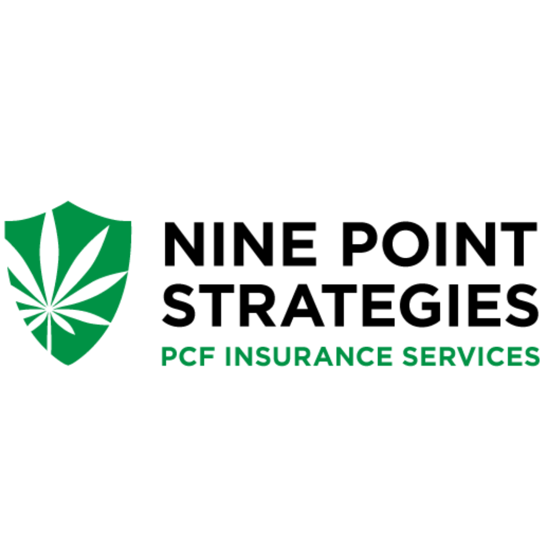 Nine Point Strategies logo
