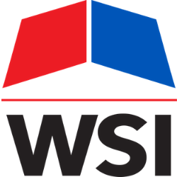 WSI logo