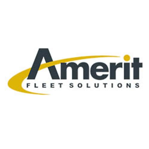 Amerit Fleet Solutions logo