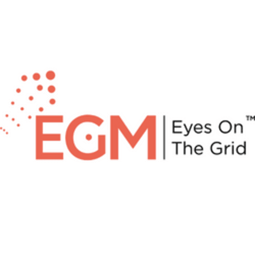 Electrical Grid Monitoring (EGM) INC. logo