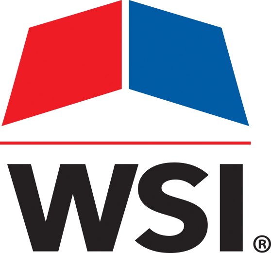 WSI logo