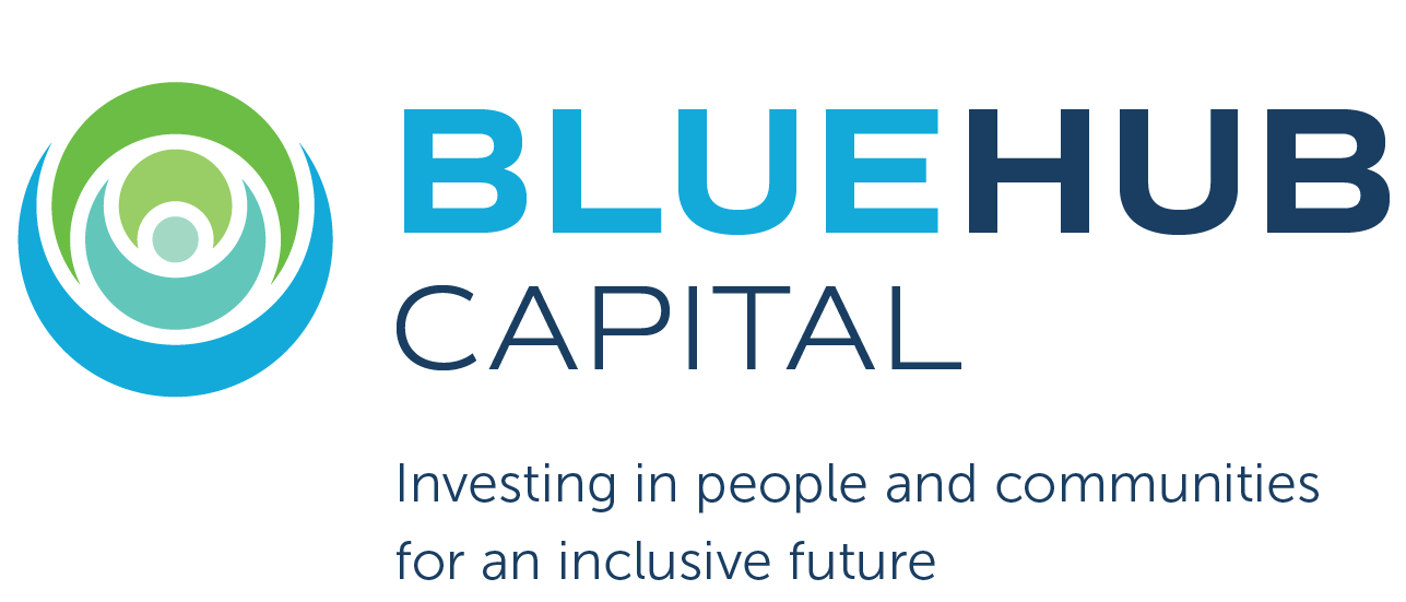 BlueHub Capital logo
