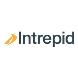 Intrepid Investment Bankers logo