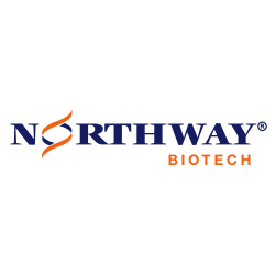 Northway Biotech logo