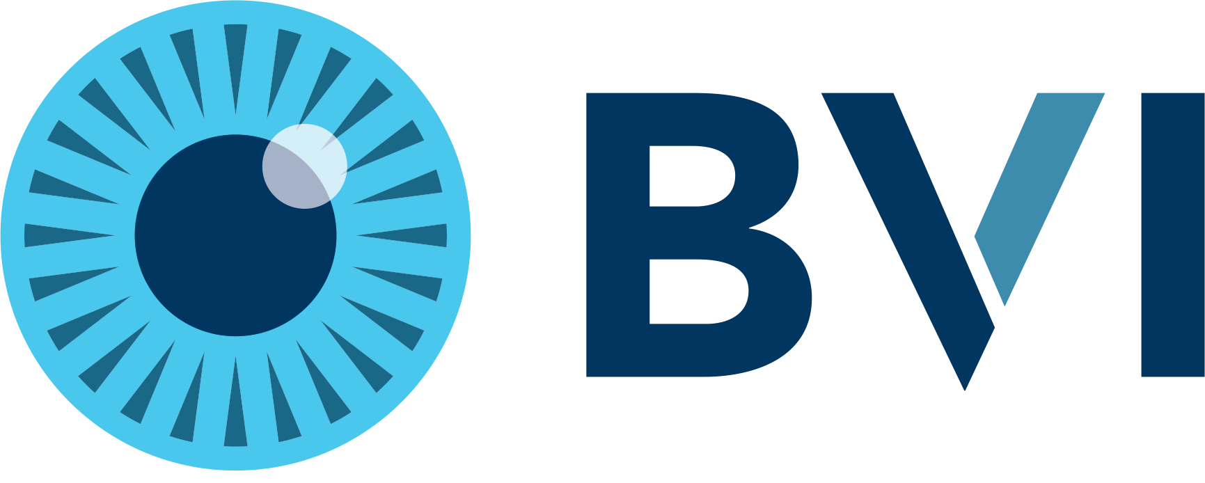 BVI Medical logo