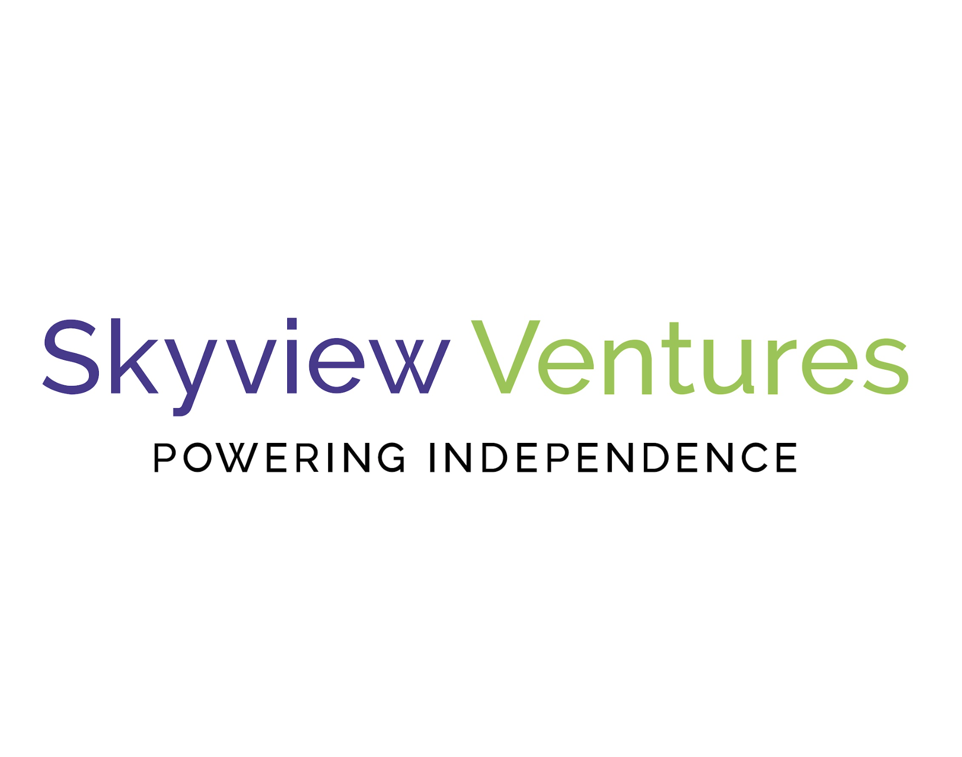 Skyview Ventures logo