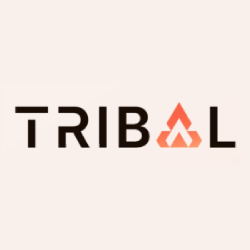 TRIBAL.AI logo