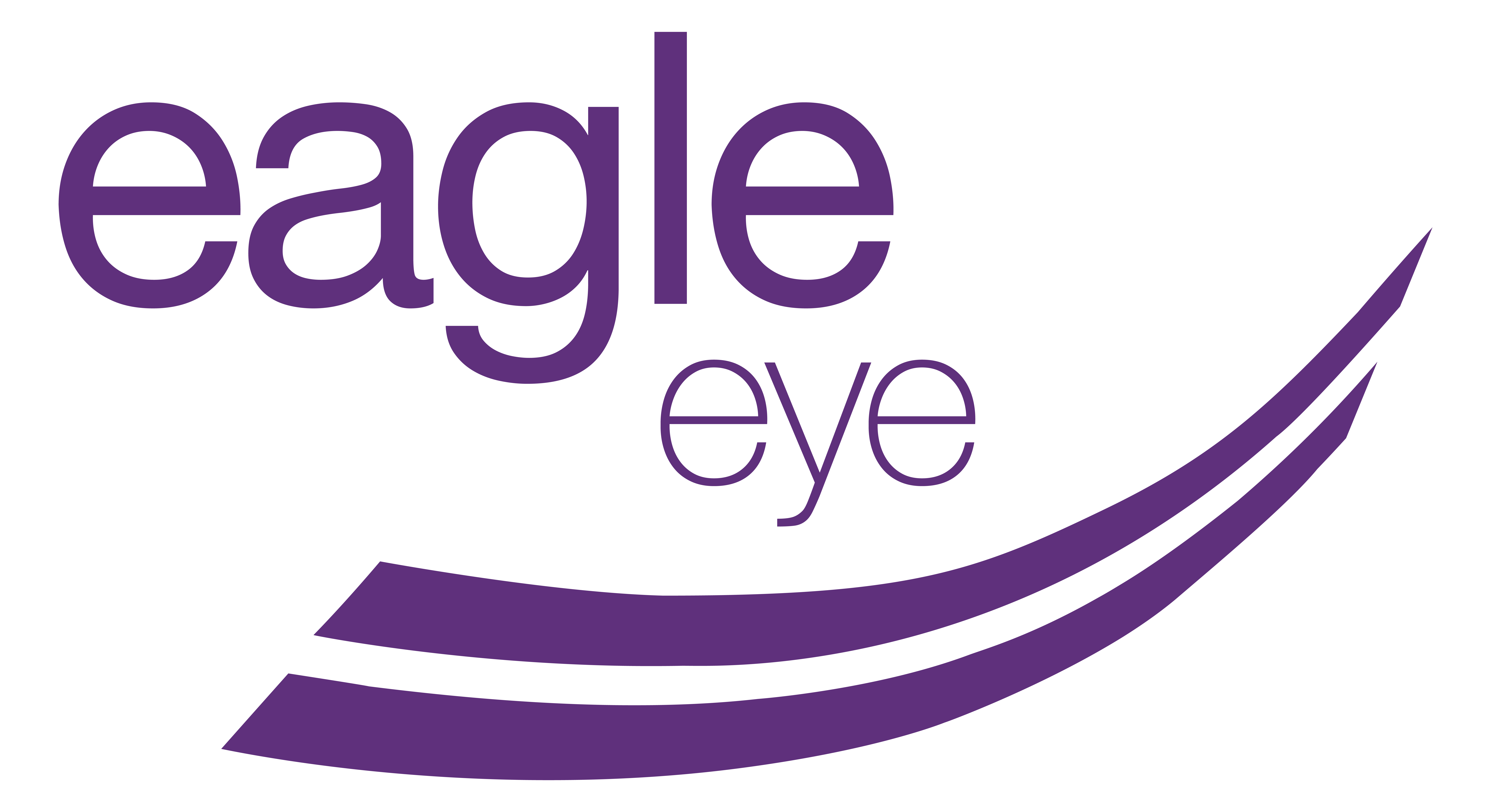 Eagle Eye logo