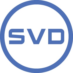 Silicon Valley Disposition logo