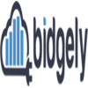 Bidgely logo