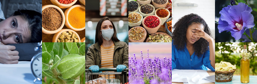 {{press_release.company_name}} header image