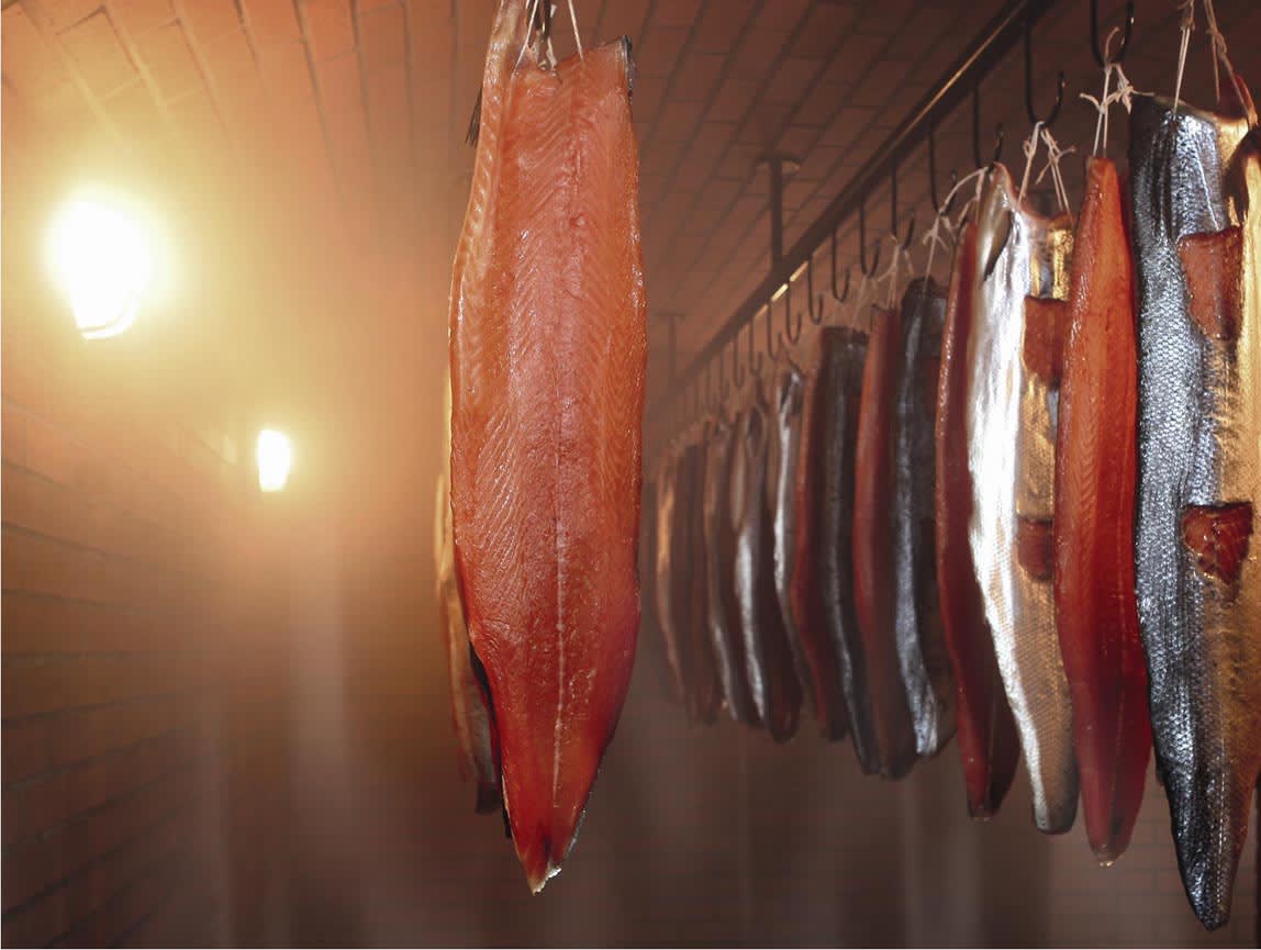 {{press_release.company_name}} header image