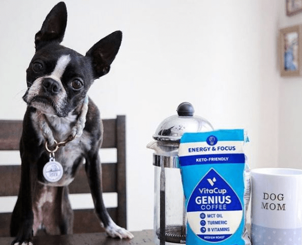 {{press_release.company_name}} header image