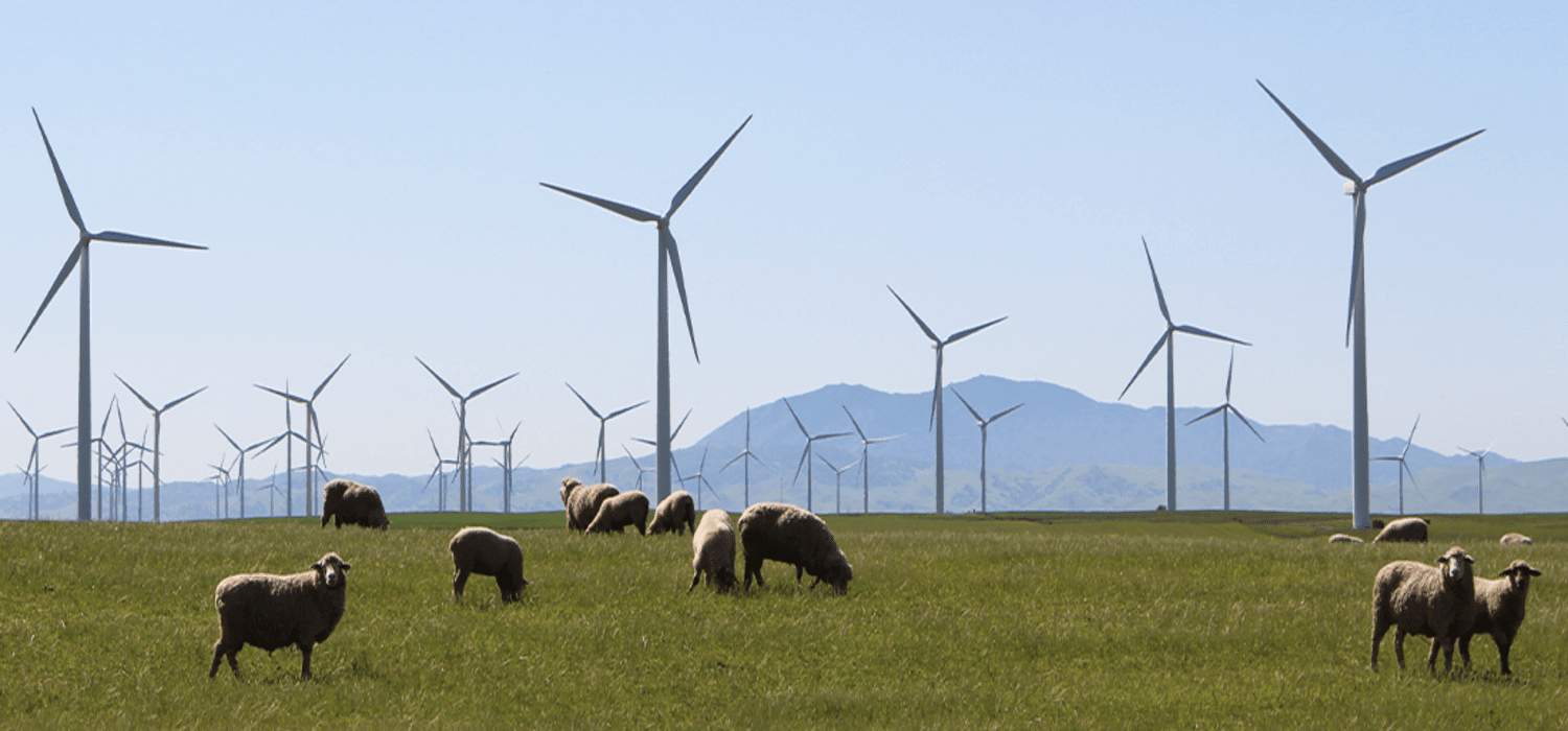 {{press_release.company_name}} header image