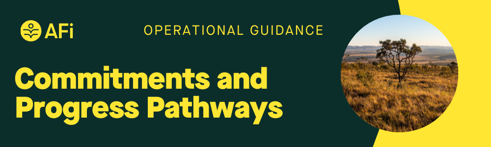 {{press_release.company_name}} header image