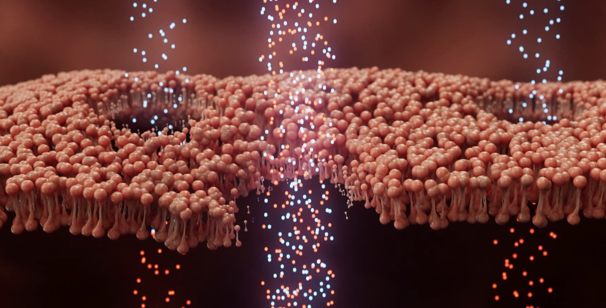 {{press_release.company_name}} header image