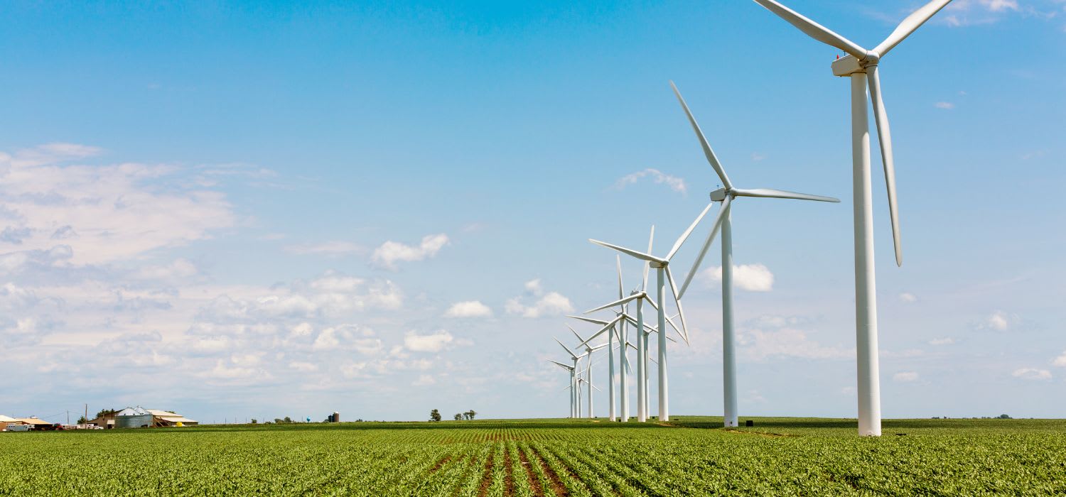 {{press_release.company_name}} header image