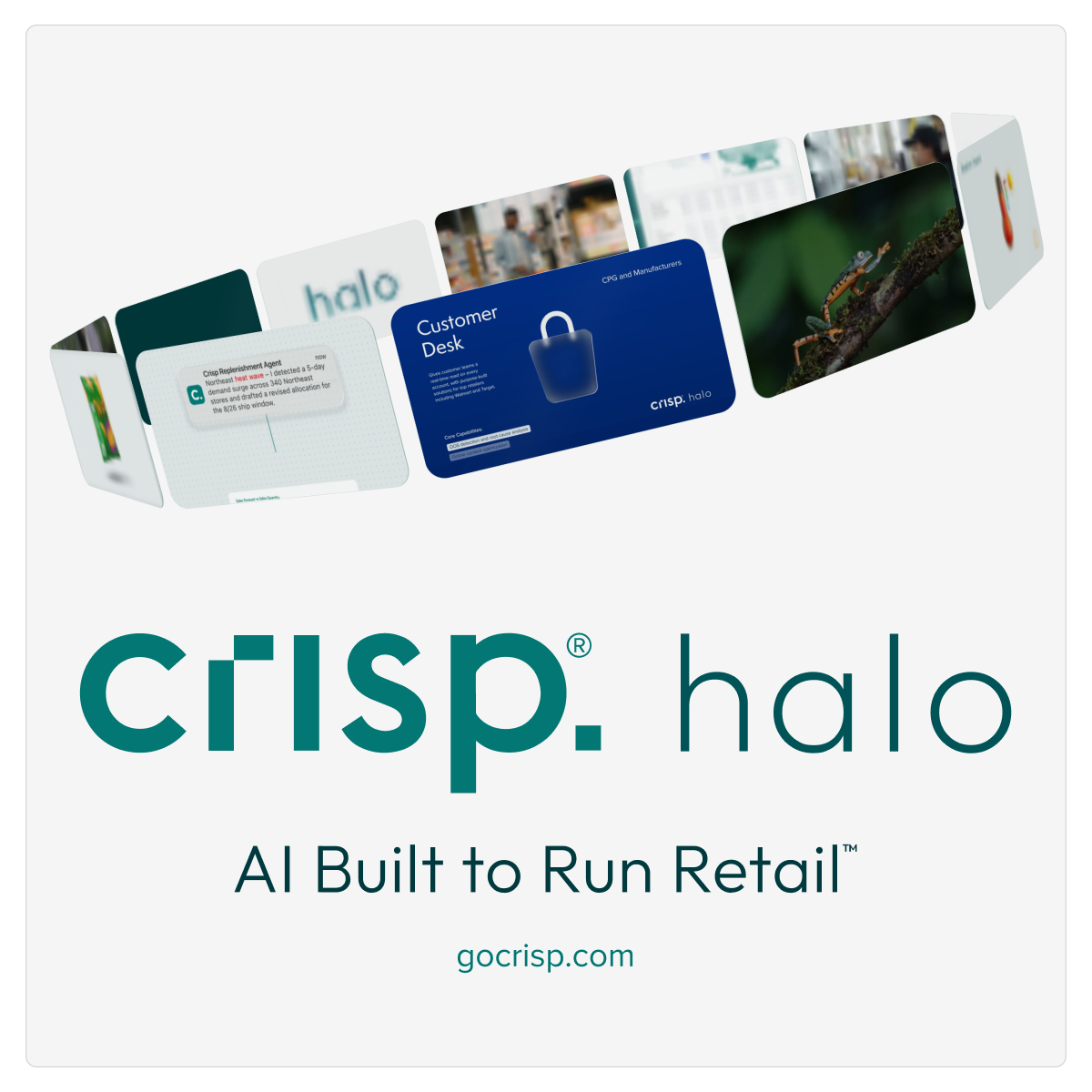 {{press_release.company_name}} header image