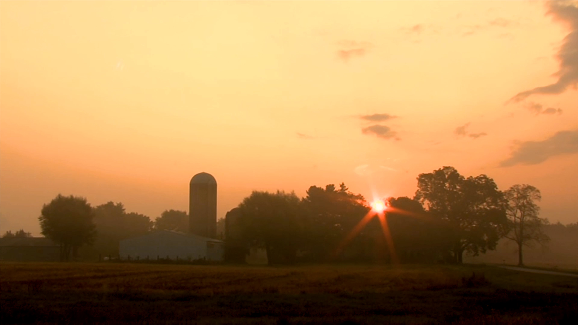 Healthy Food Ingredients header image