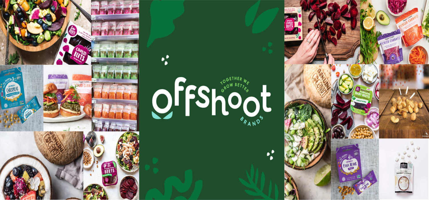 Offshoot Brands header image