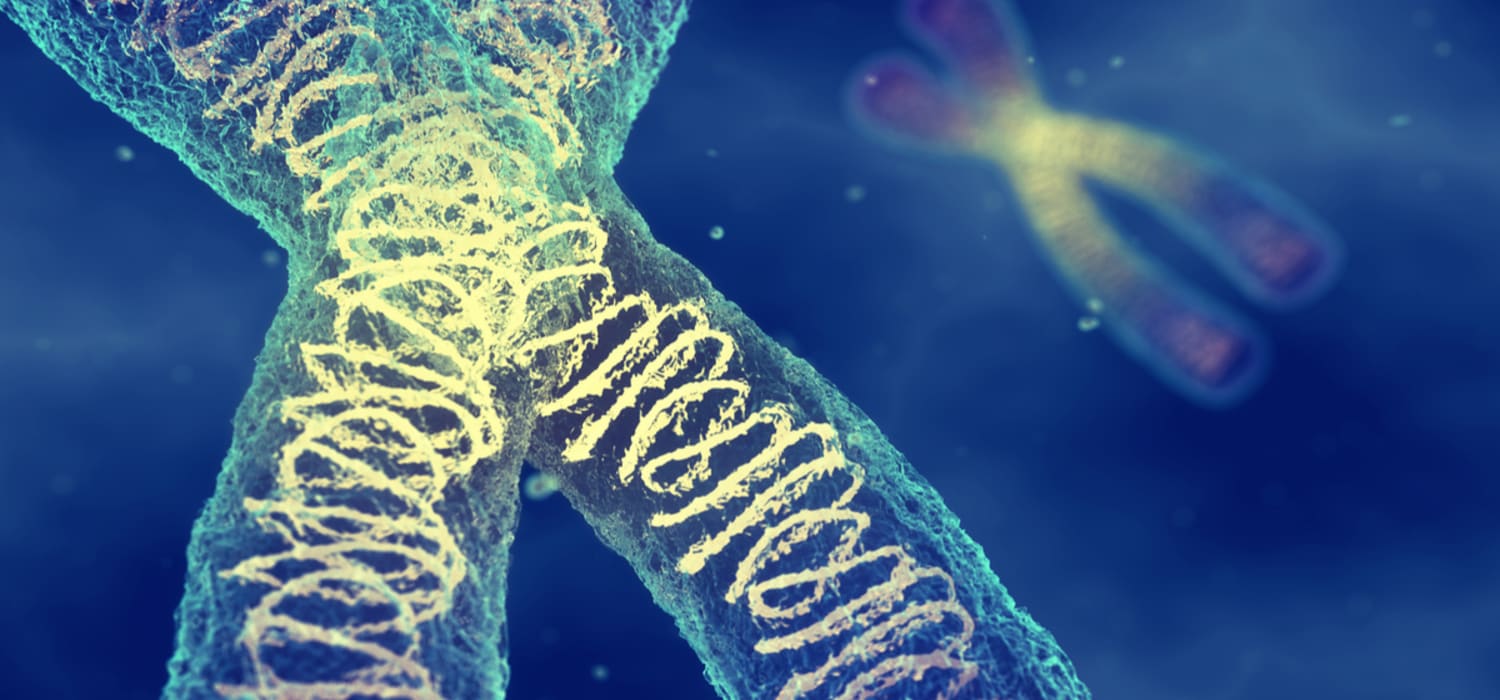 Accarent Health header image