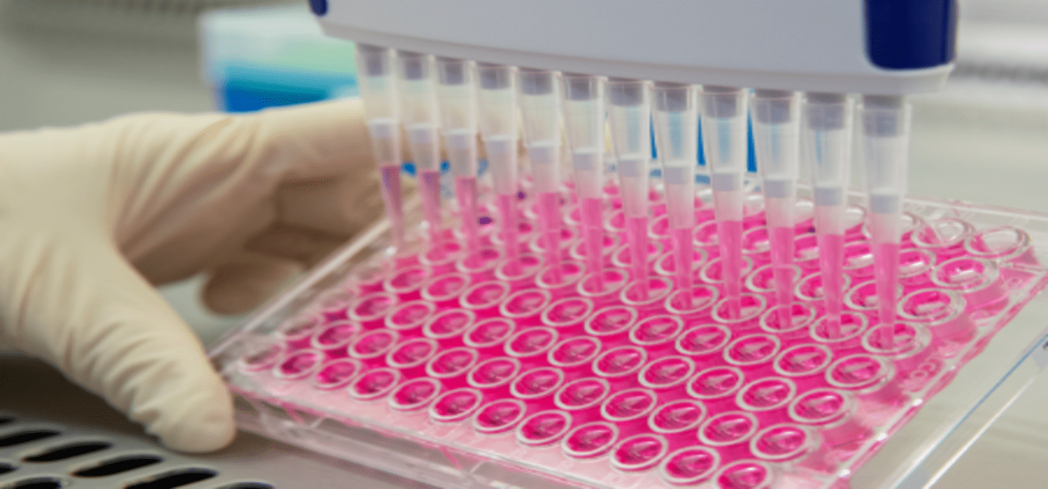 BioIVT header image