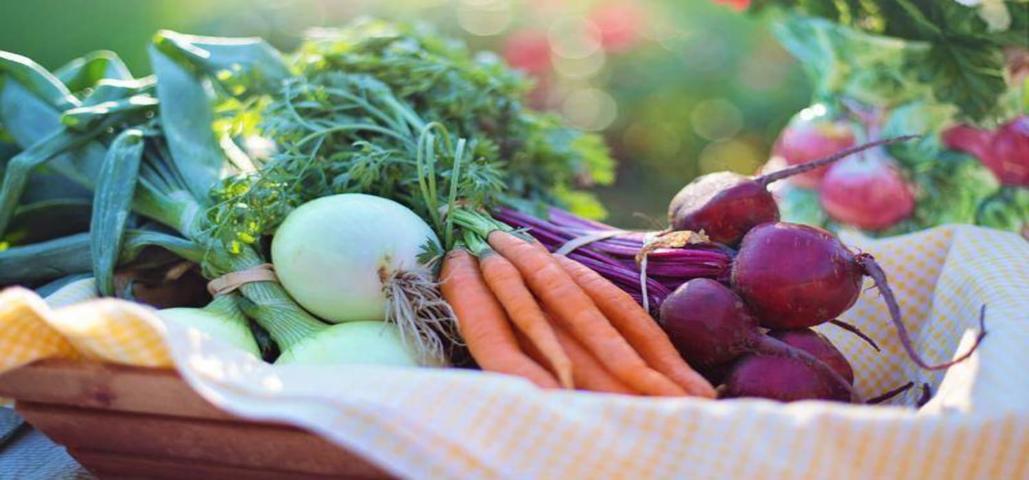Paisley Farm Foods header image