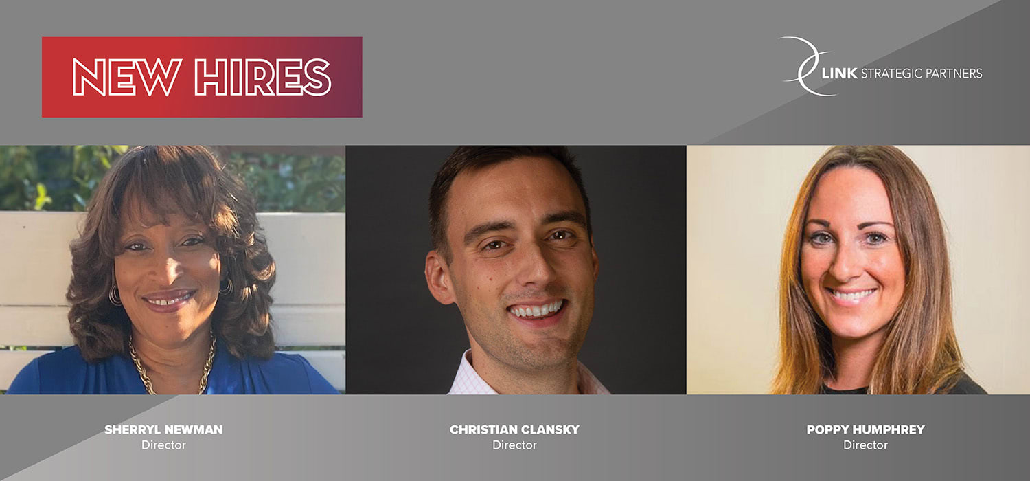 LINK Strategic Partners header image