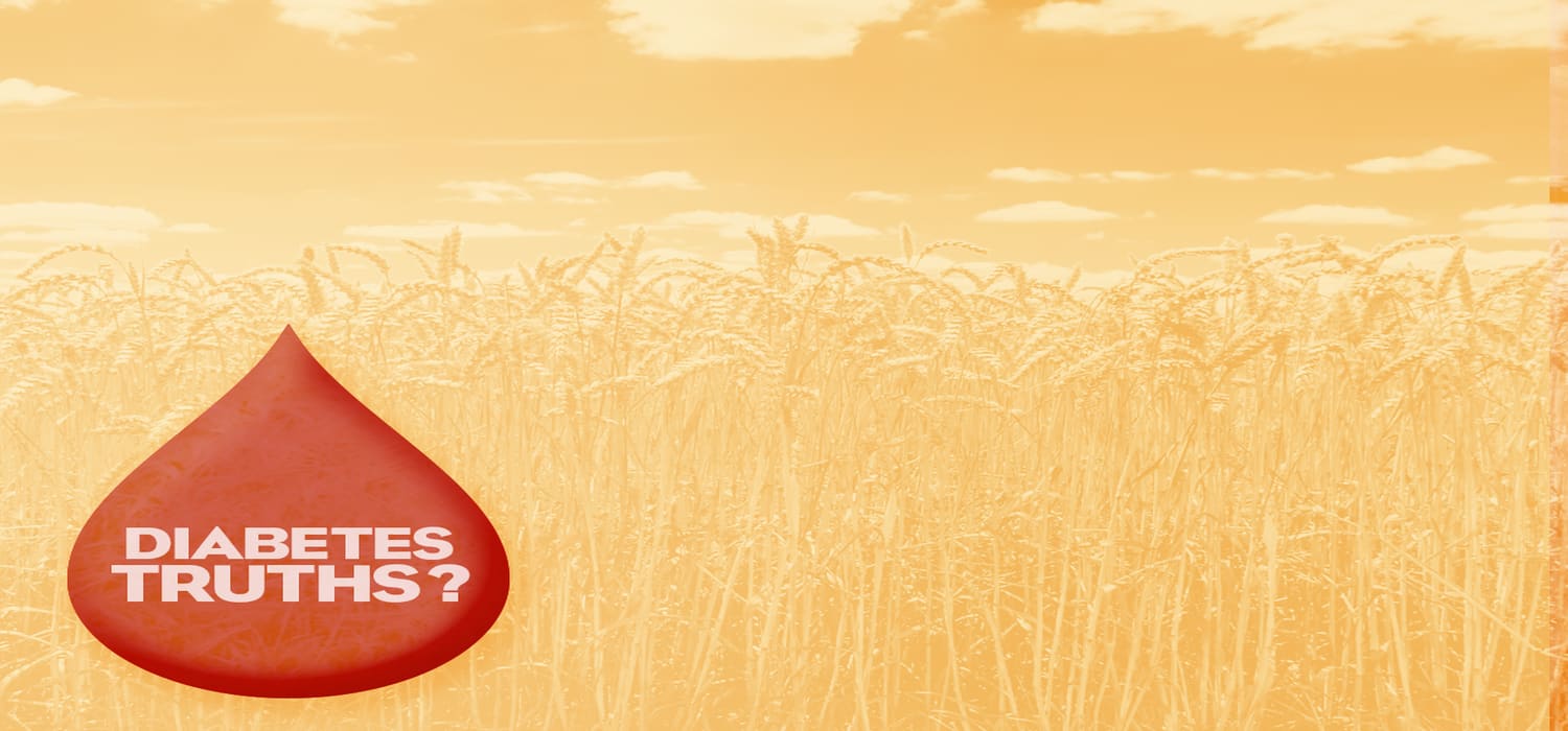 粮食基金会标题图片