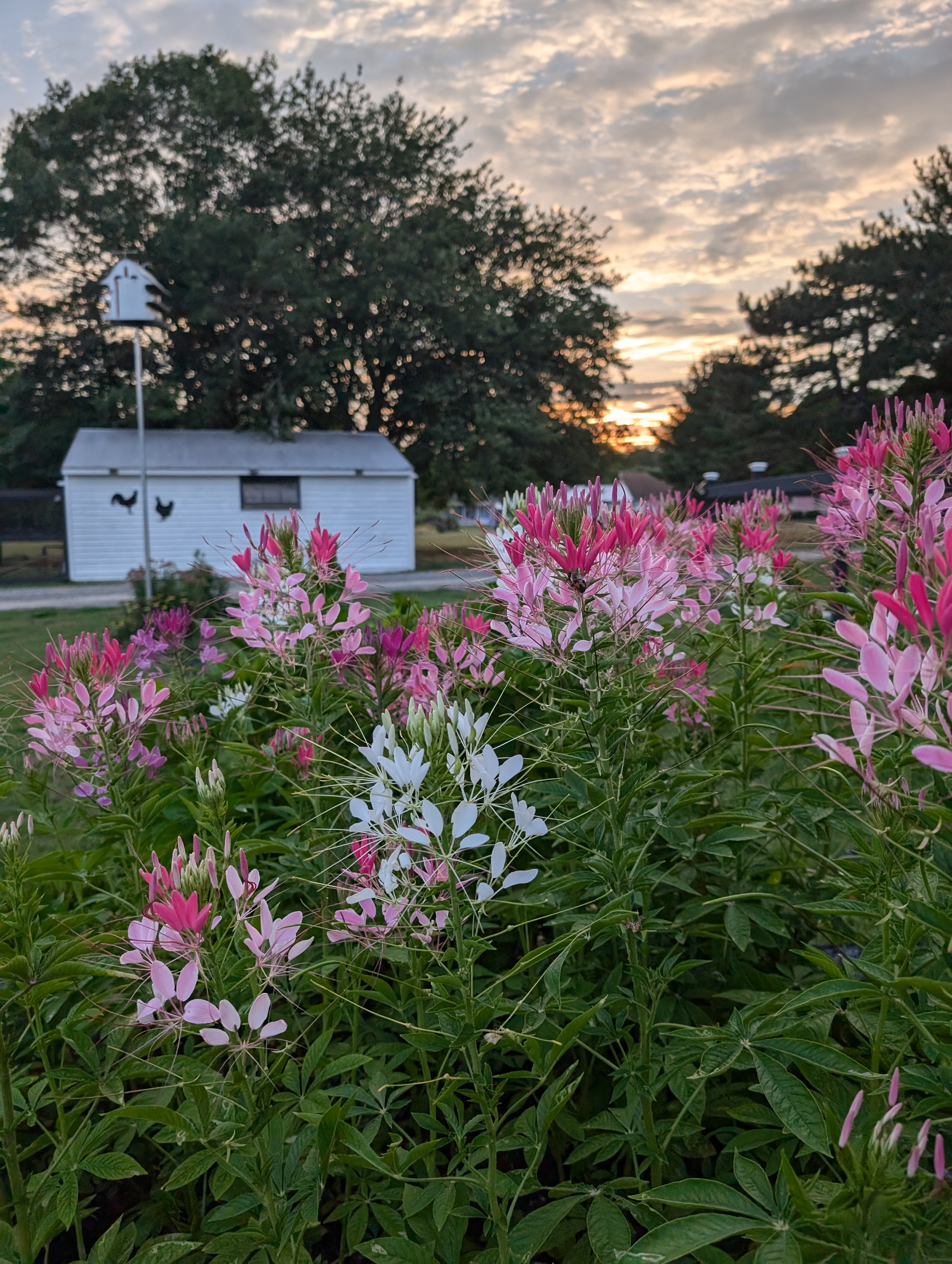 Seasonal Harvests & Farm Favorites
