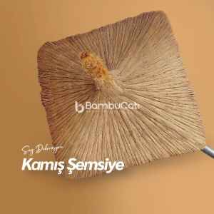 Kamıştan Neler Yapılır?